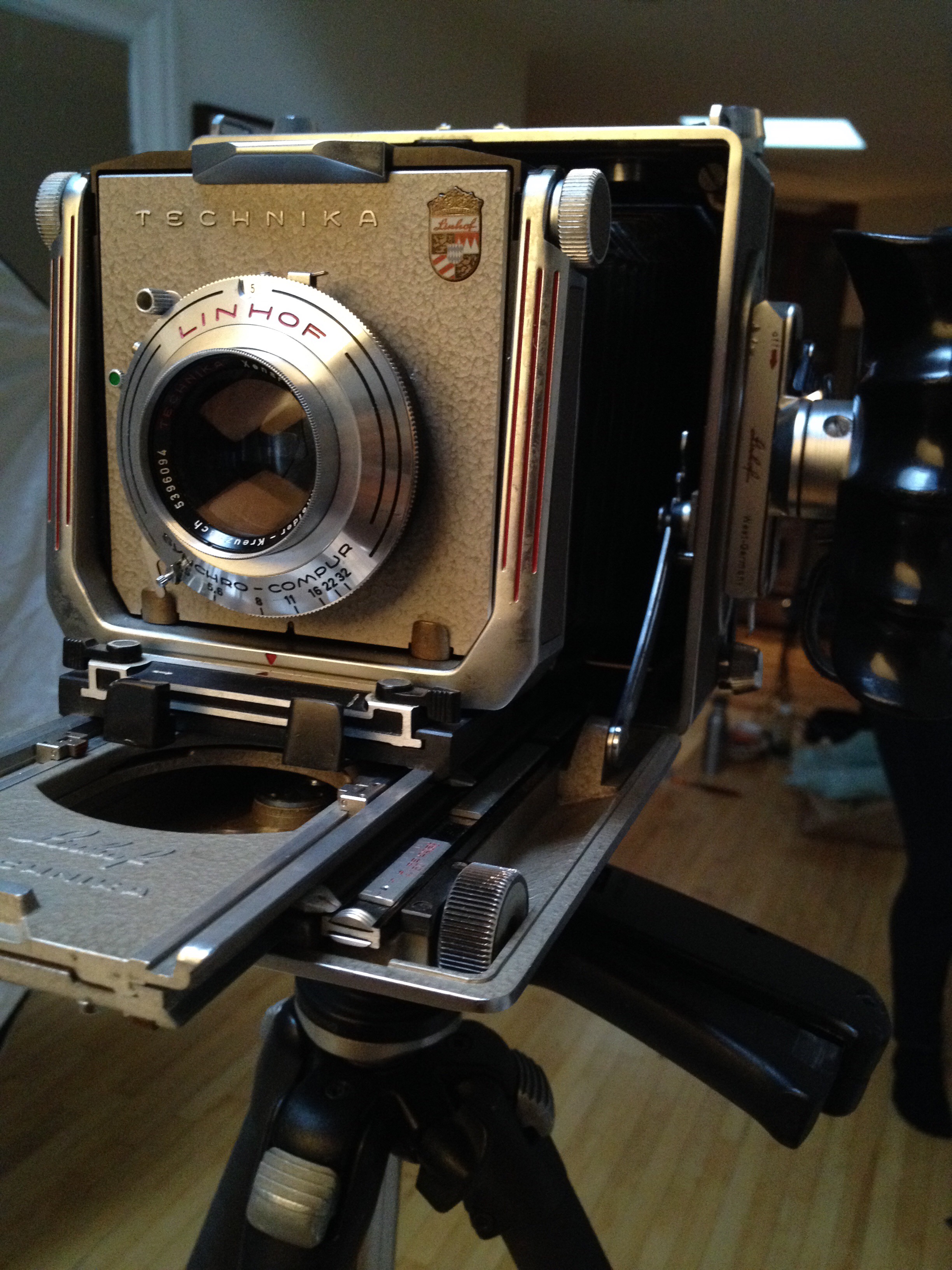 Behind the Cover: Floral Haven