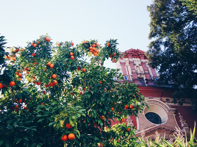 What to See and Do in Seville Spain - Zardozi Magazine - Triana